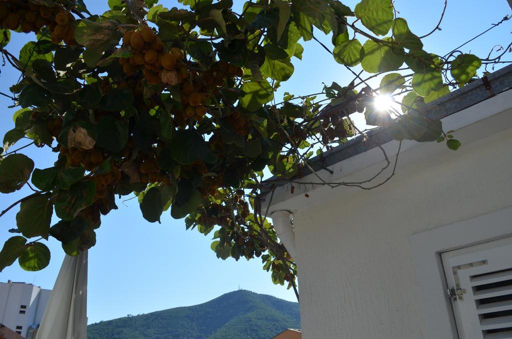 Casablanca Apartments Budva Exteriér fotografie